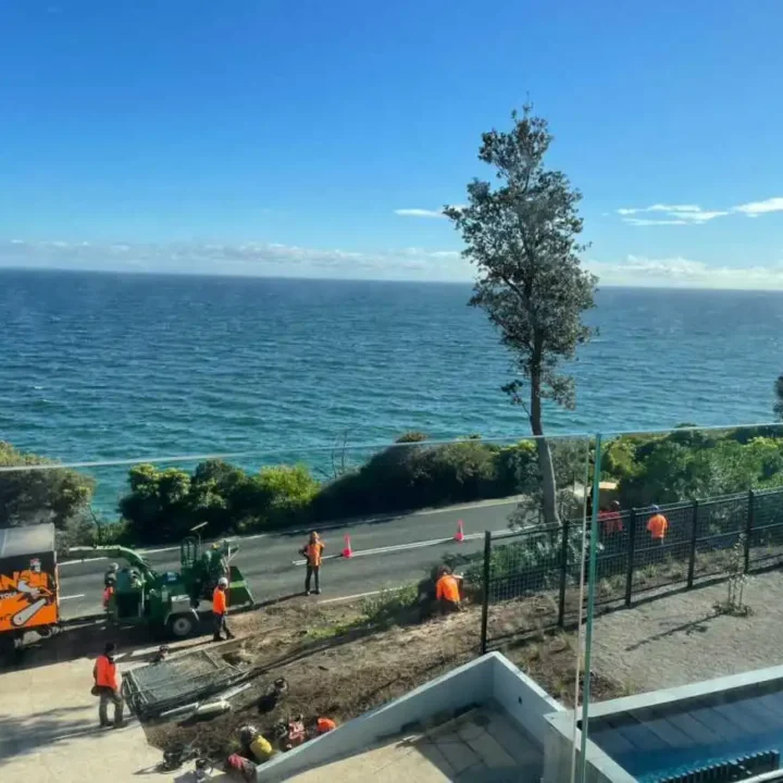 Tree Removal Mornington Peninsula