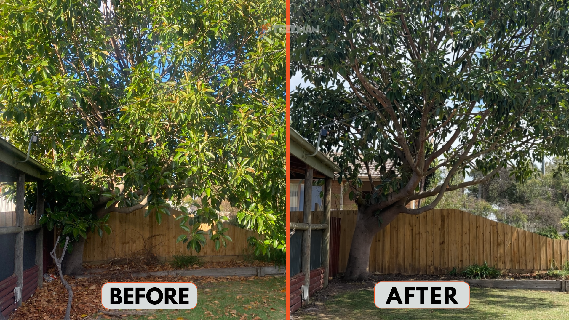 Discover why transitioning from summer to autumn is the ideal time for tree maintenance. Learn how pruning now prevents storm damage and prepares your garden for the coming leaf drop.
