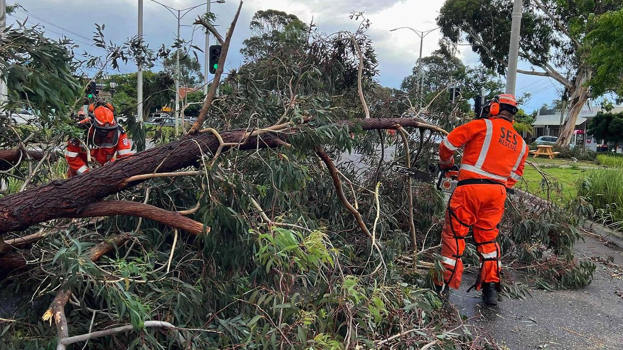 Prepare your garden for the harsh winter months by learning how to storm ready your trees. Discover the importance of professional inspections, pruning, bracing, and removals to keep your Melbourne property safe.