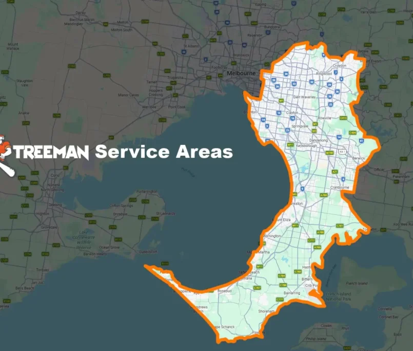 Spring has officially arrived in Melbourne. Discover why preparing your trees for rapid growth is essential, and check our updated service area map to see how the top-rated team at Treeman Melbourne can help your garden thrive this season.